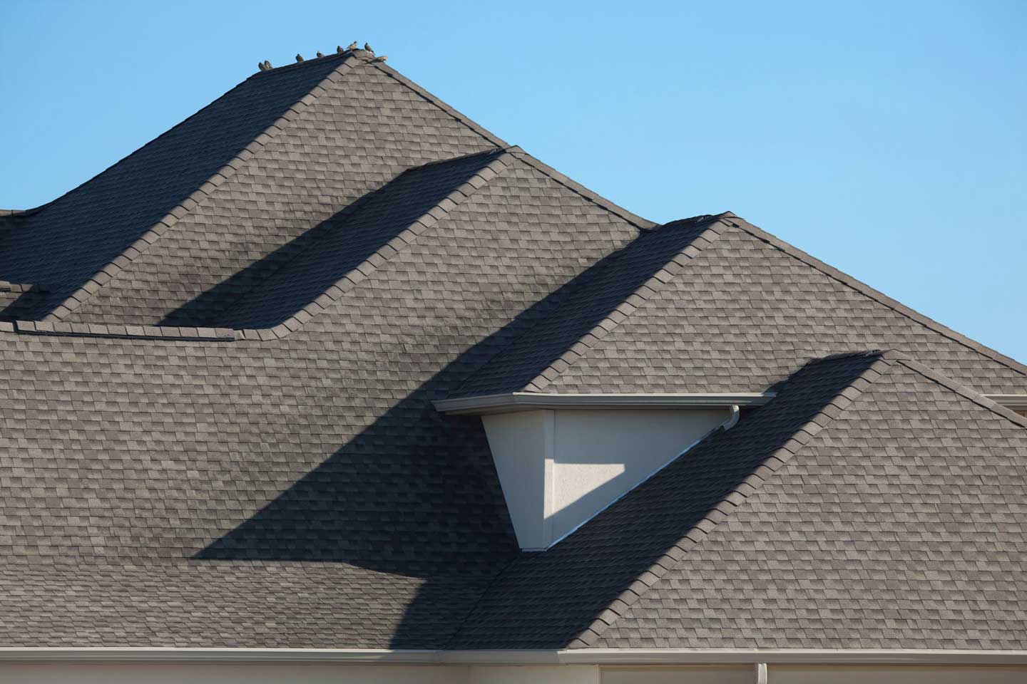 Elevated Roofing Project